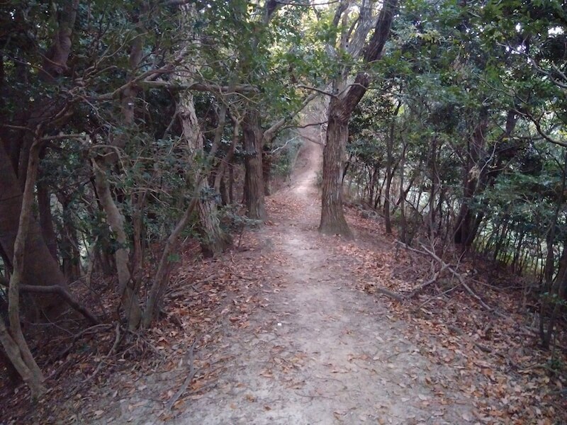 trail in japan
